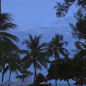 国产福利姬在线观看
